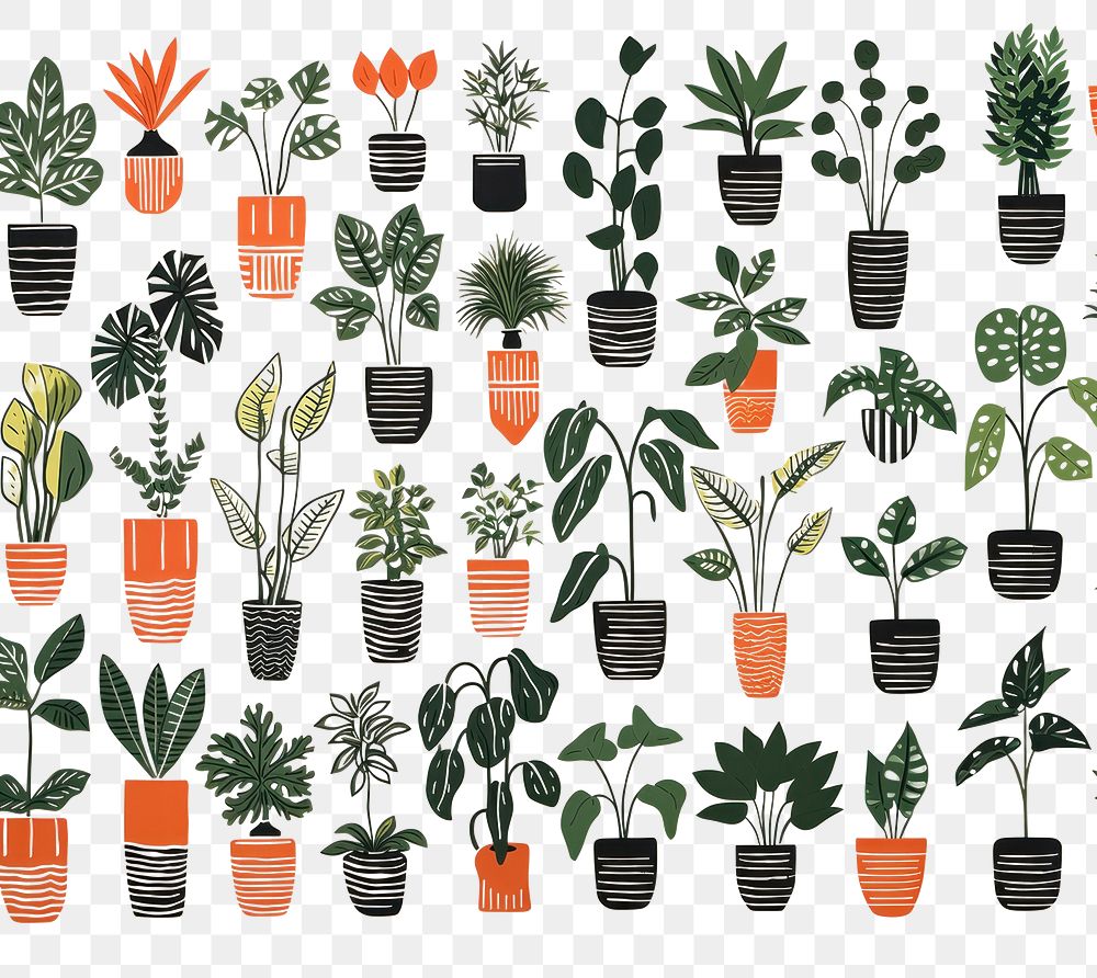 PNG House plants nature herbs leaf. AI generated Image by rawpixel.