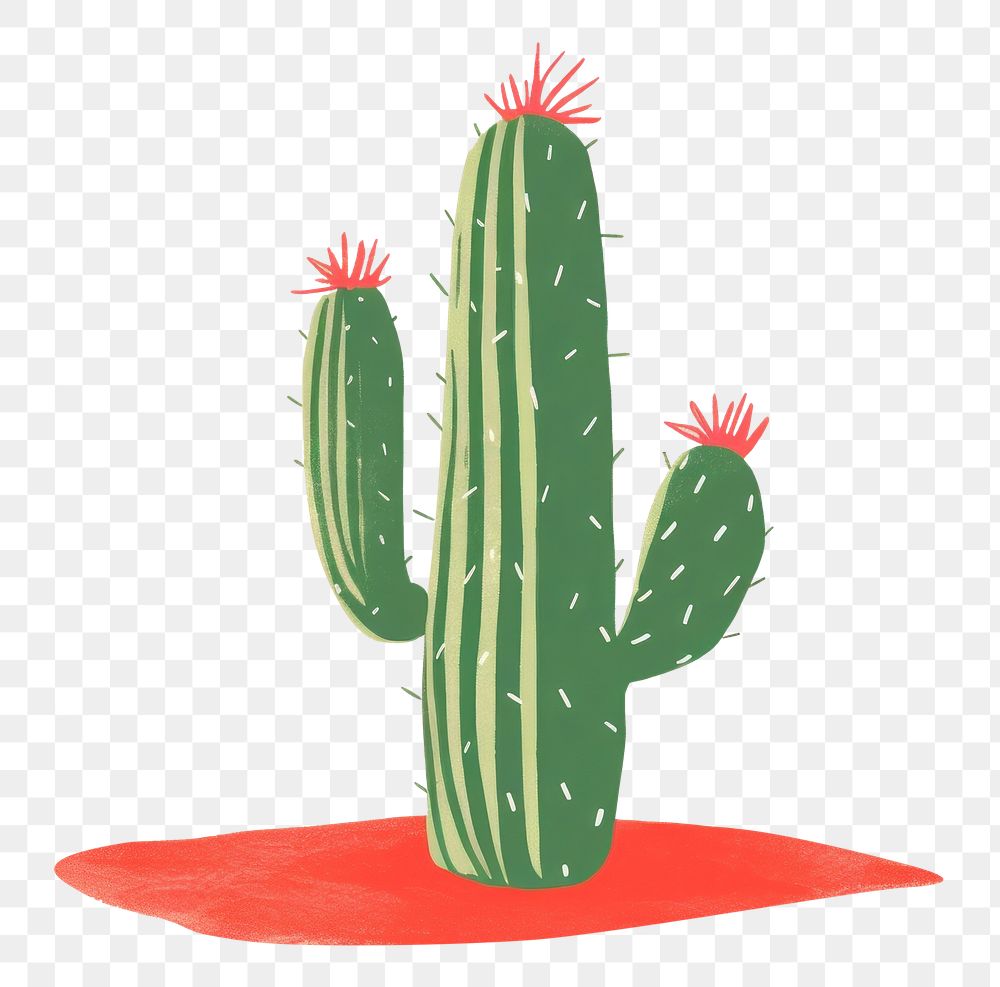 PNG Cactus plant creativity outdoors. AI generated Image by rawpixel.