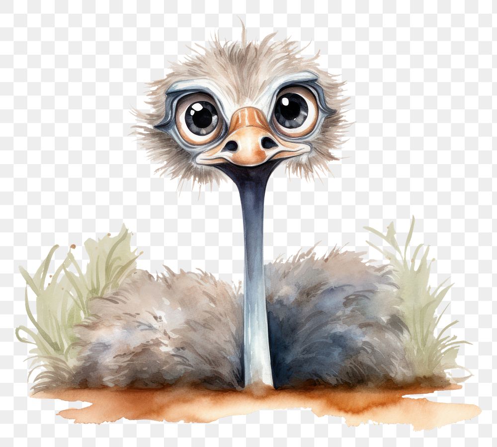 PNG Peeking Ostrich ostrich animal bird. AI generated Image by rawpixel.