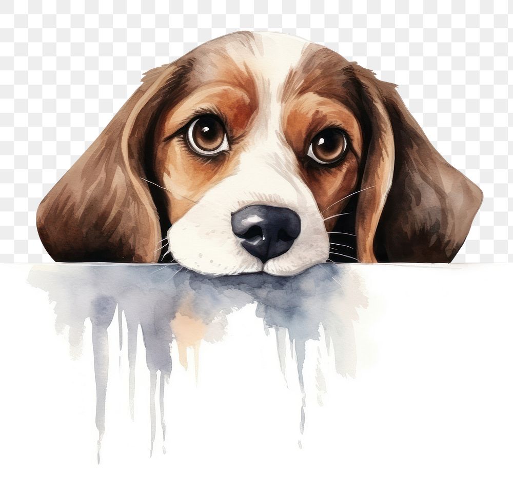 PNG Beagle beagle animal mammal. AI generated Image by rawpixel.