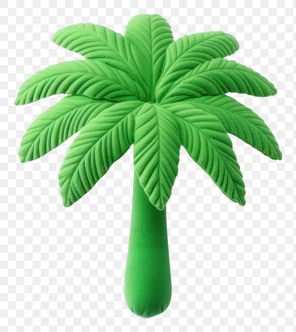 PNG  A coconut tree plant green leaf. AI generated Image by rawpixel.