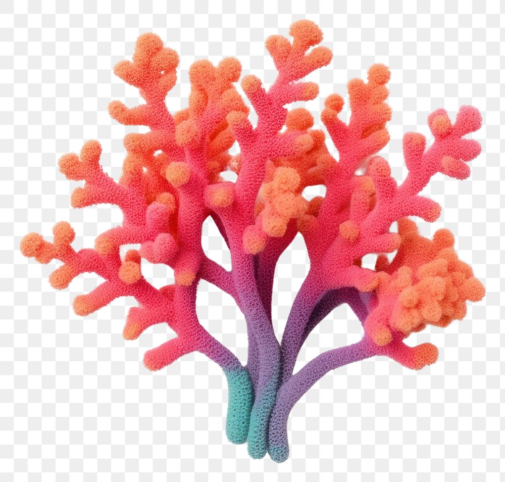 PNG  Colorful Branched Finger Coral toy plant white background pomacentridae. AI generated Image by rawpixel.