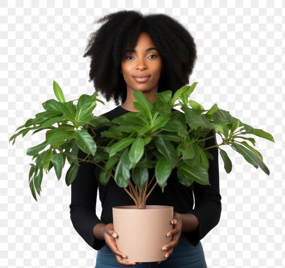 PNG  A black woman holding houseplant adult leaf white background. AI generated Image by rawpixel.