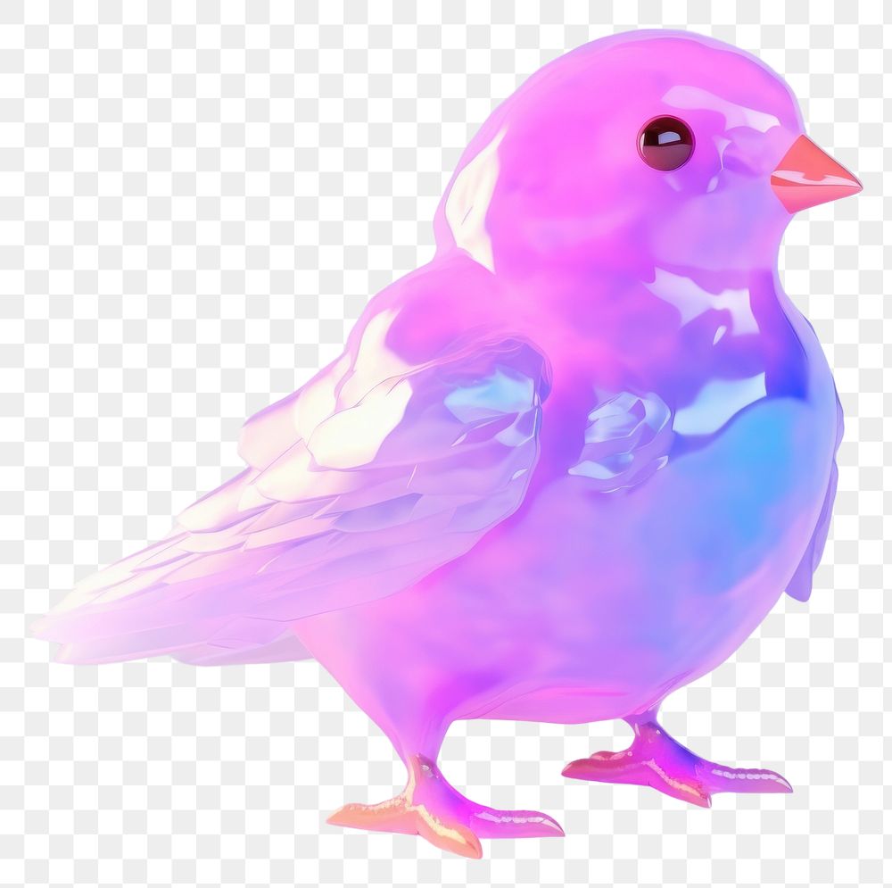 PNG Bird animal wildlife purple. AI generated Image by rawpixel.