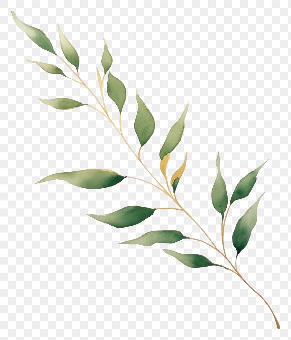 PNG Green leaves plant leaf graphics. AI generated Image by rawpixel.