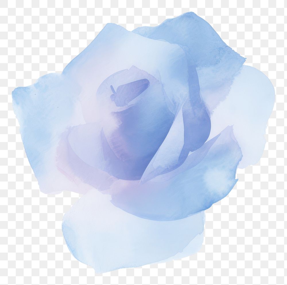 PNG Blue rose flower petal white. AI generated Image by rawpixel.