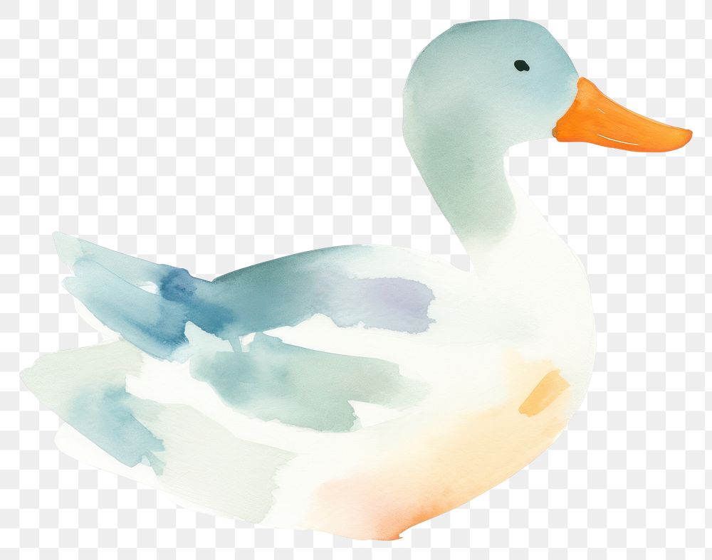 PNG Duck animal bird beak. AI generated Image by rawpixel.