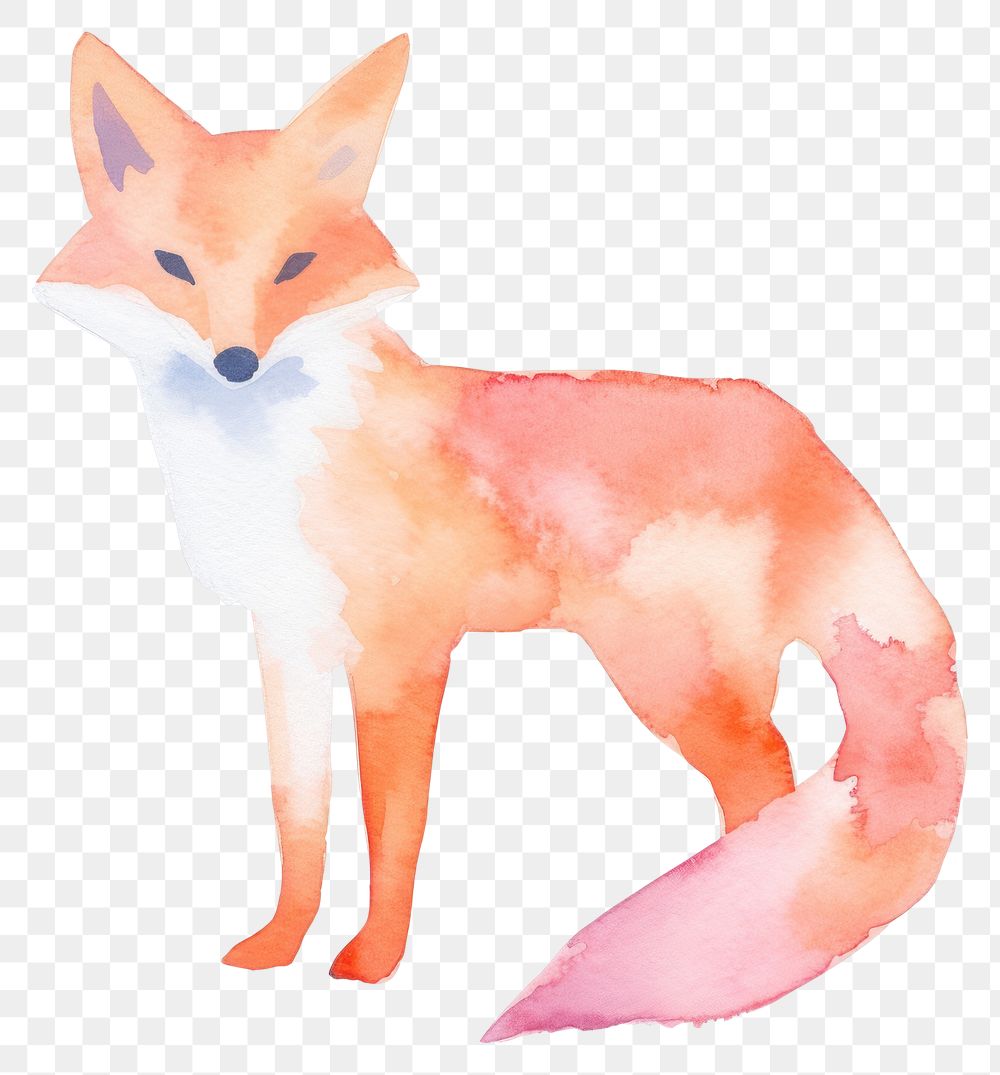PNG Fox animal mammal white background. AI generated Image by rawpixel.