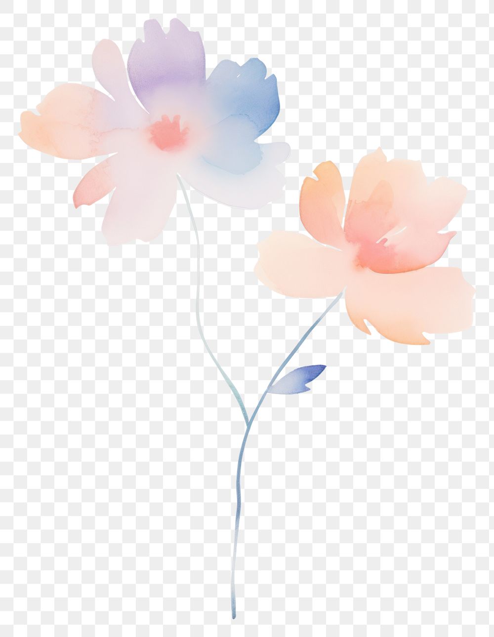 PNG Flowers petal plant white background. AI generated Image by rawpixel.