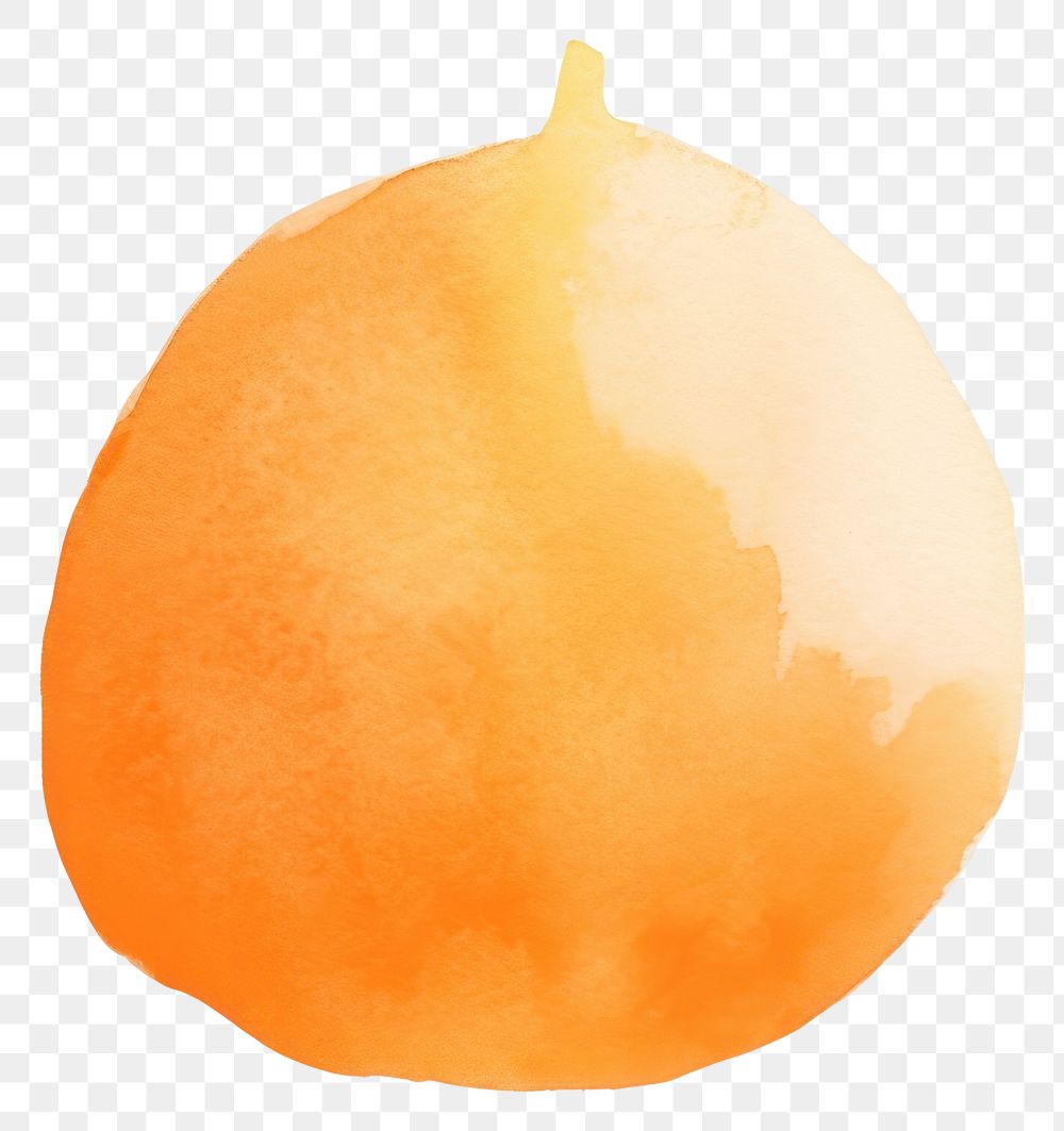 PNG Orange fruit plant pear. AI generated Image by rawpixel.