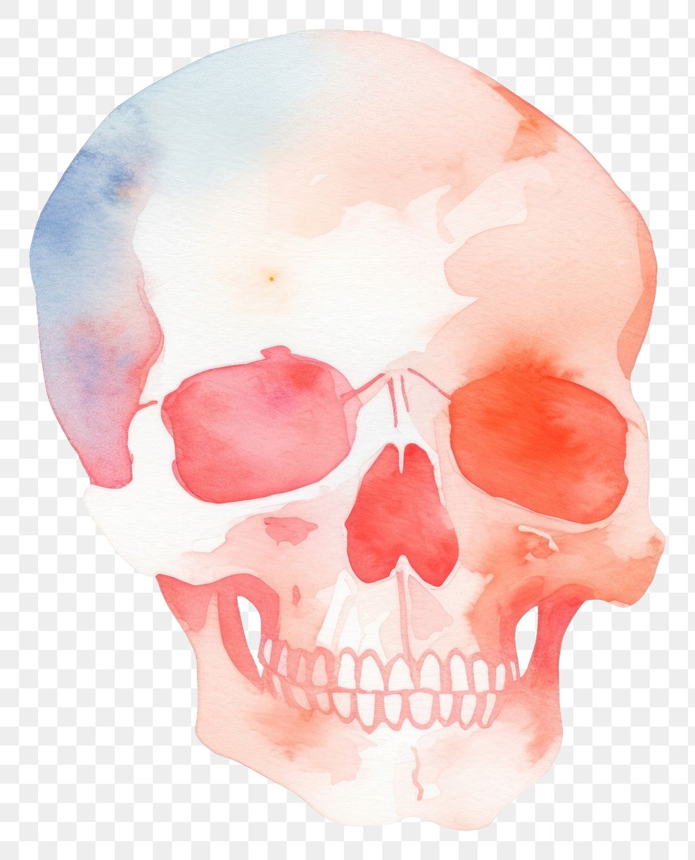 PNG Skull white background creativity anatomy. AI generated Image by rawpixel.