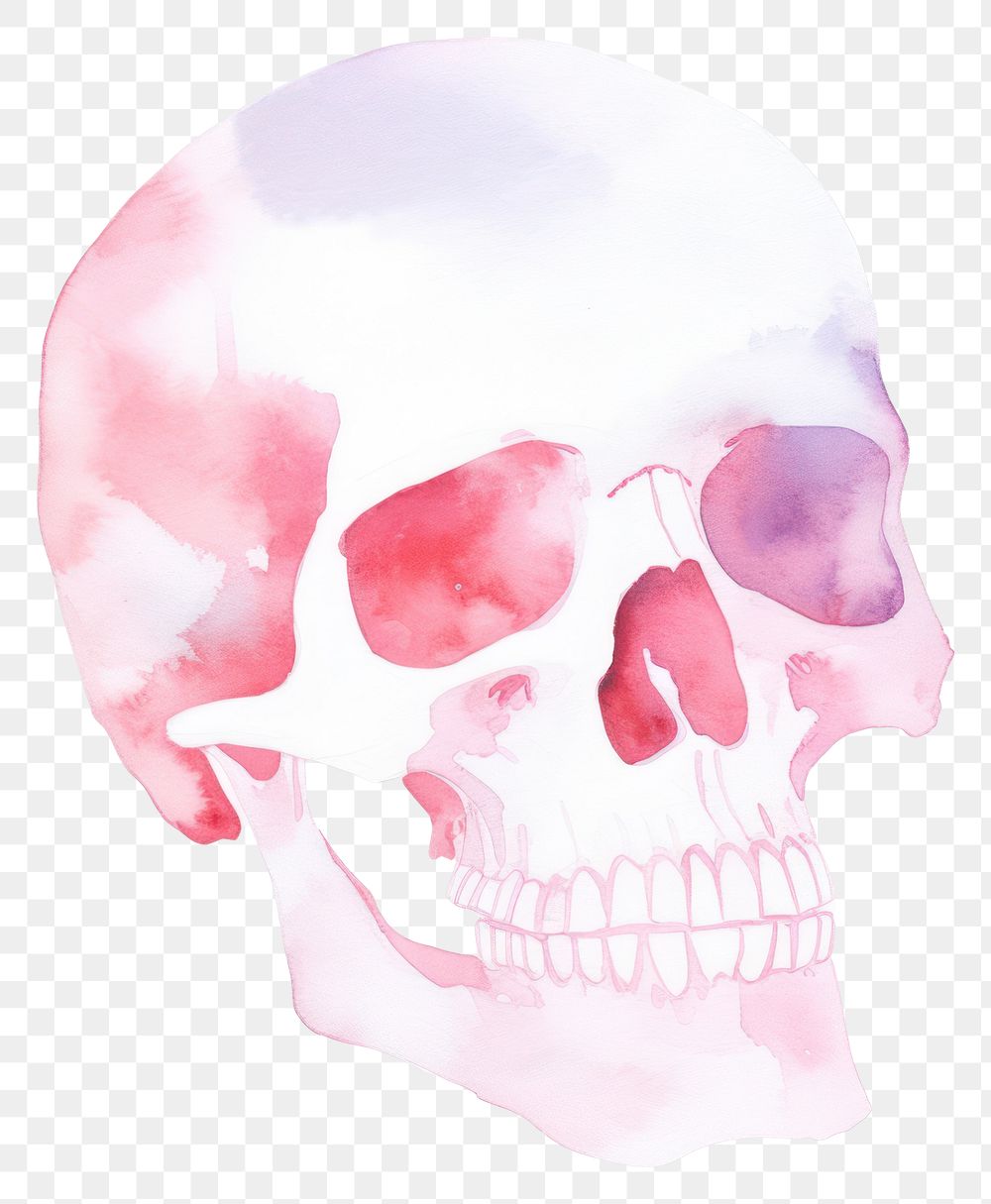 PNG Skull white background creativity science. AI generated Image by rawpixel.