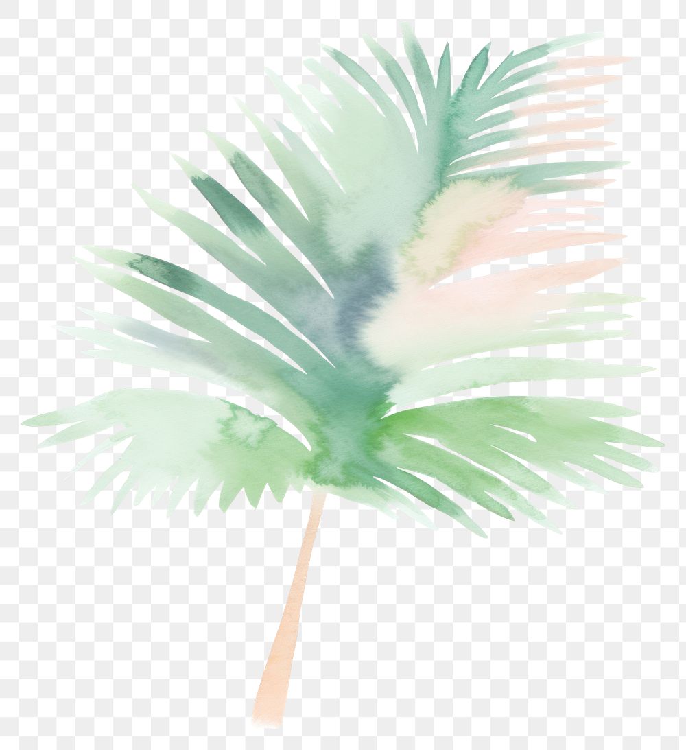 PNG Palm tree plant leaf white background. AI generated Image by rawpixel.