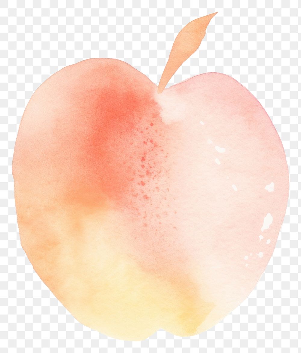 PNG Peach food white background freshness. 