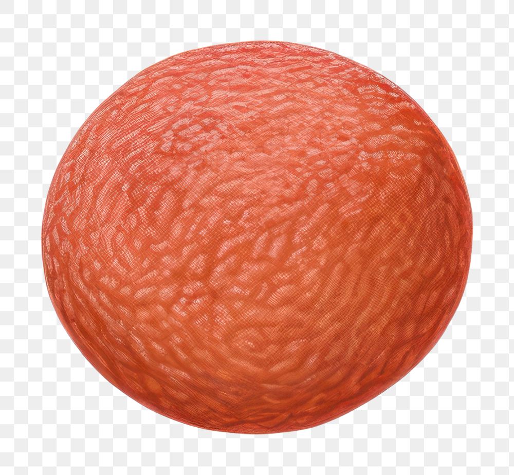PNG  Surrealistic painting of meatball food grapefruit produce.