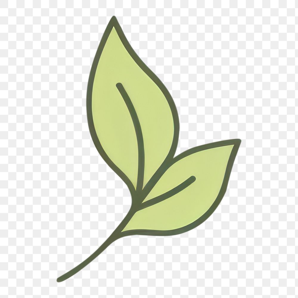 PNG Green tea icon plant leaf yellow.
