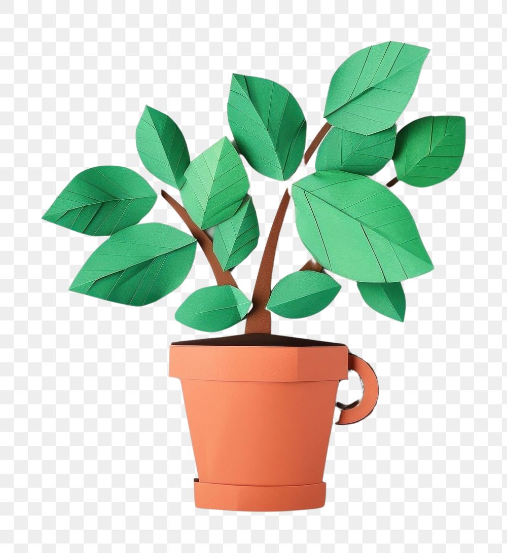 PNG Coffee plant leaf potted plant.