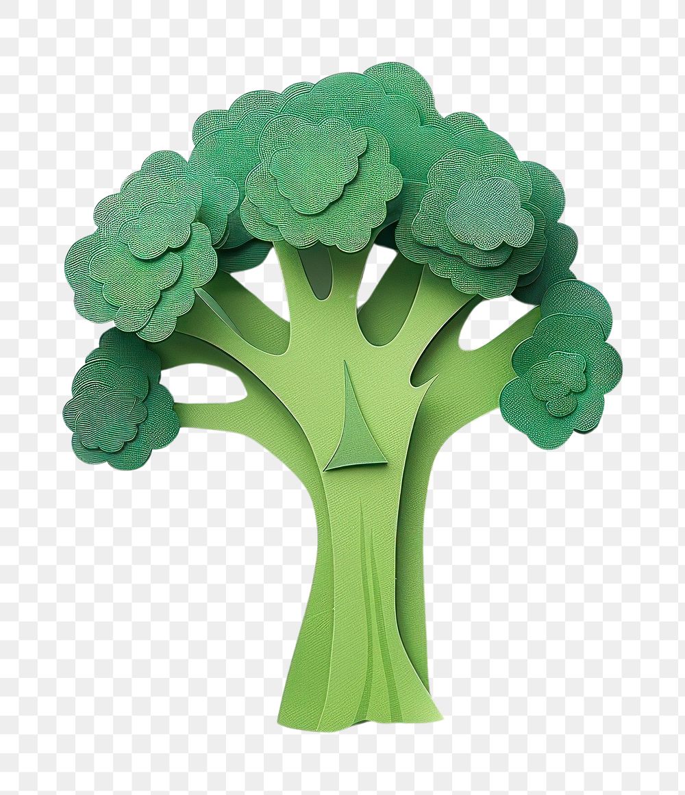 PNG Broccoli broccoli vegetable produce.
