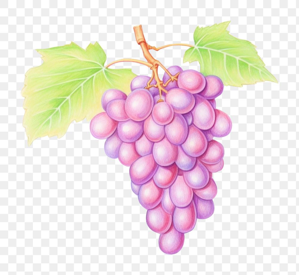 PNG Grape grapes produce fruit.