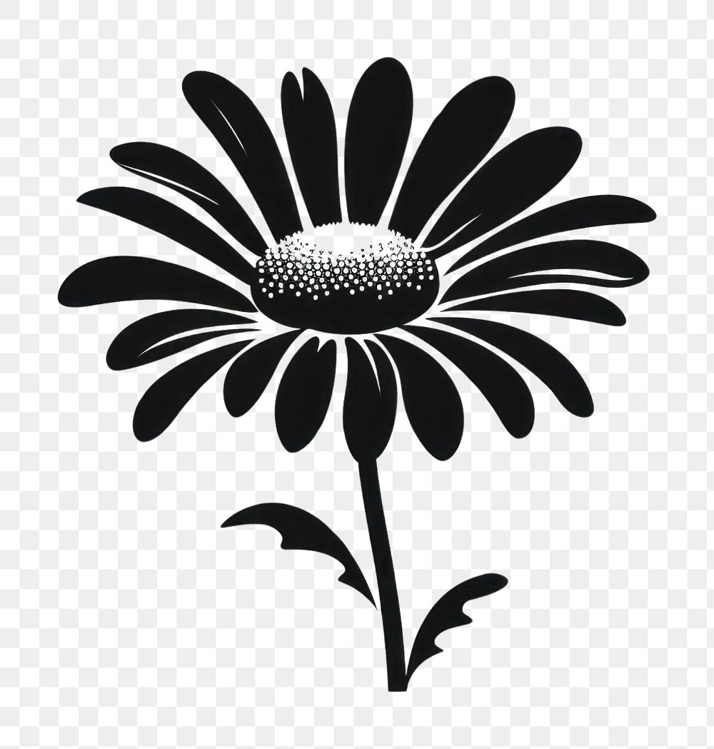 PNG Daisy silhouette asteraceae chandelier blossom.