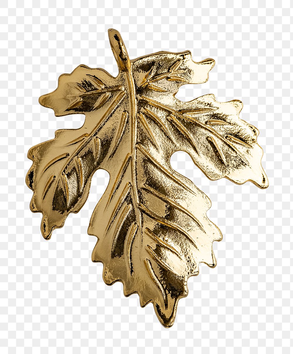 Gold maple leaf png sticker, transparent background