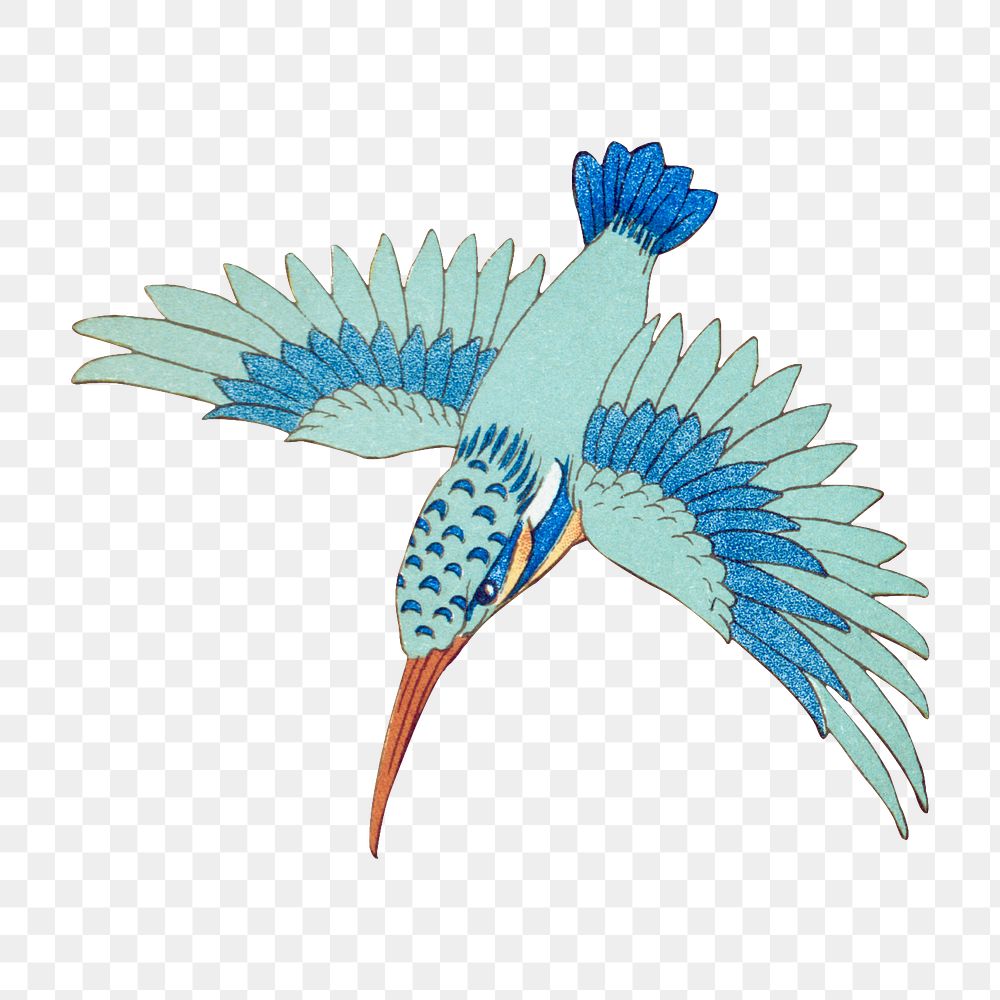 Kingfisher bird png sticker, vintage animal illustration, transparent background