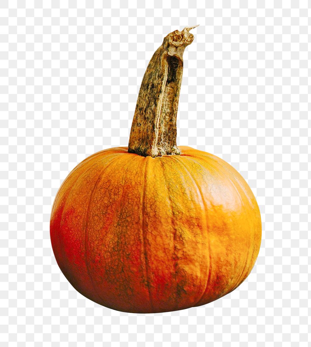 Pumpkin png sticker, autumn, transparent background