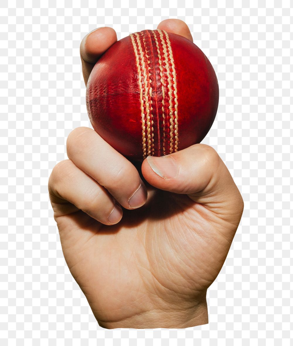 Hand holding png cricket ball sticker,  transparent background