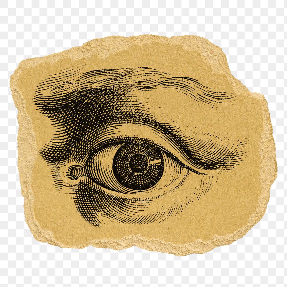 Observing eye png sticker, ripped paper on transparent background