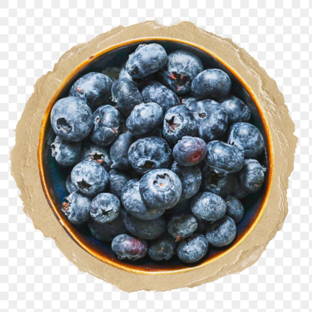 Blueberry bowl png sticker, ripped paper, transparent background