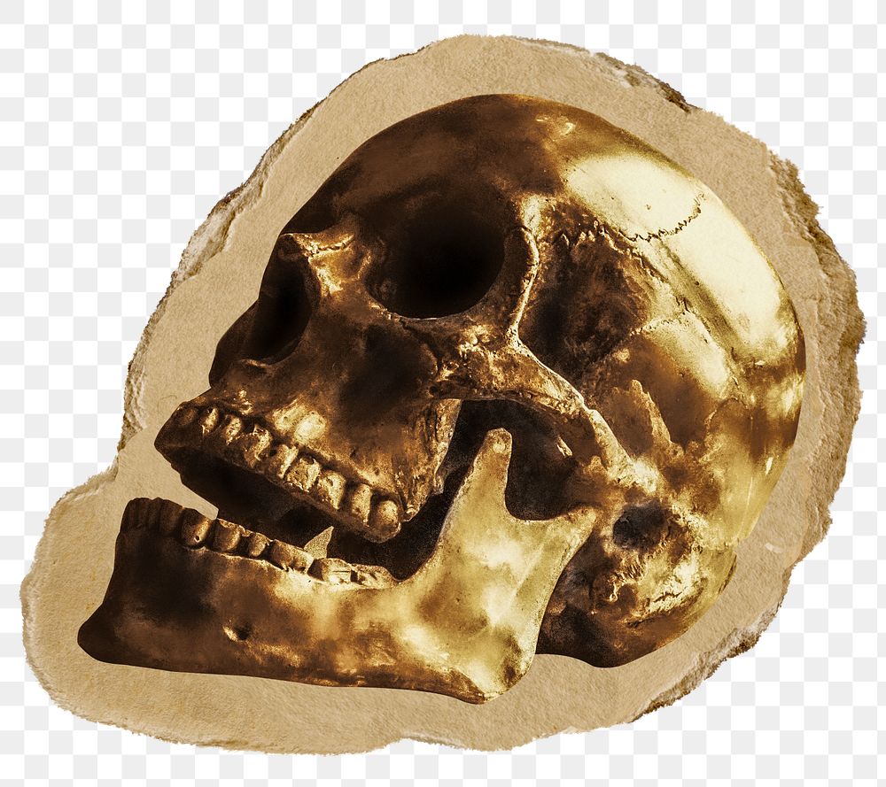 Gold skull png sticker, ripped paper on transparent background 