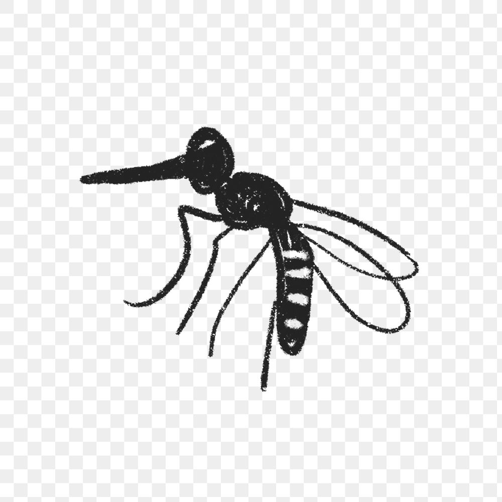 Mosquito png sticker, cute doodle on transparent background