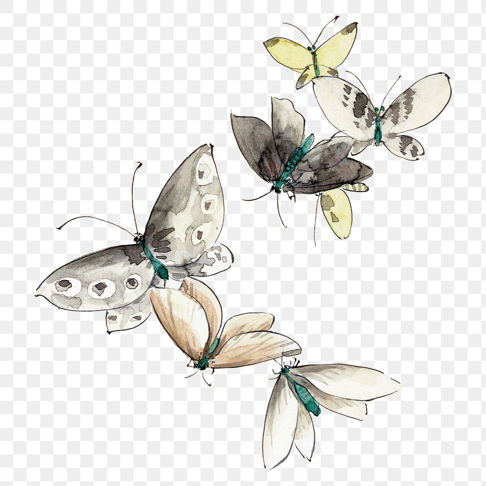 Hokusai&rsquo;s Butterflies and Moths png on transparent background. Remastered by rawpixel. 
