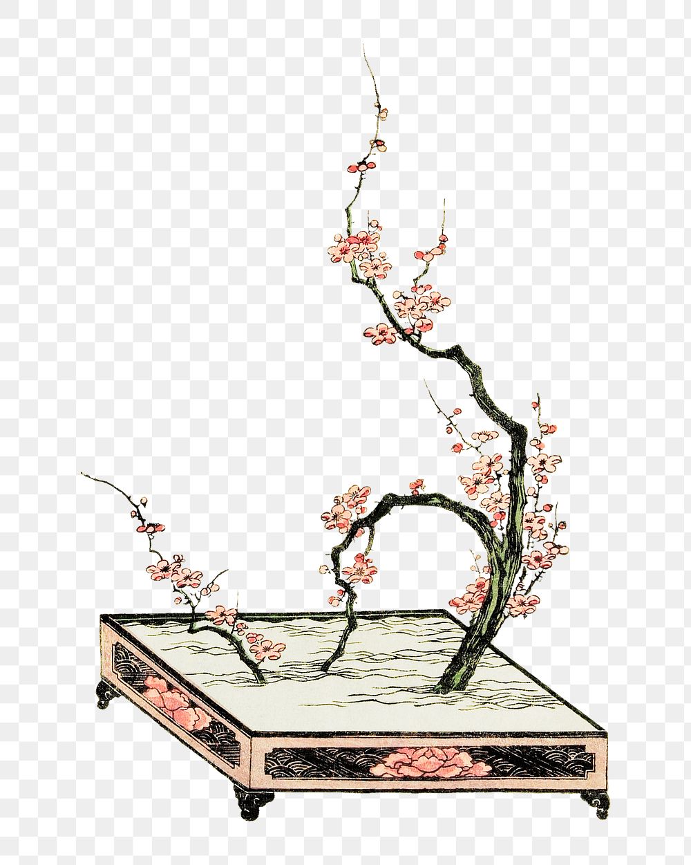 Japanese flower arrangement png on transparent background.    Remastered by rawpixel. 