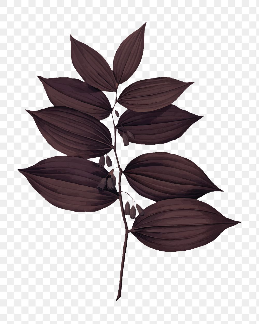 Brown leaf branch png sticker, transparent background