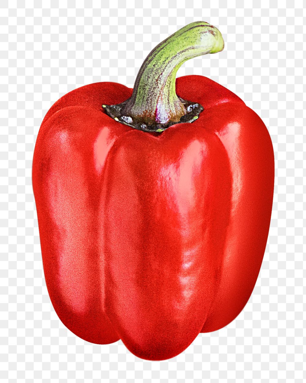 Red bell pepper png sticker, transparent background