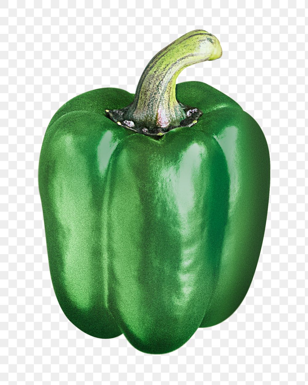 Green bell pepper png sticker, transparent background