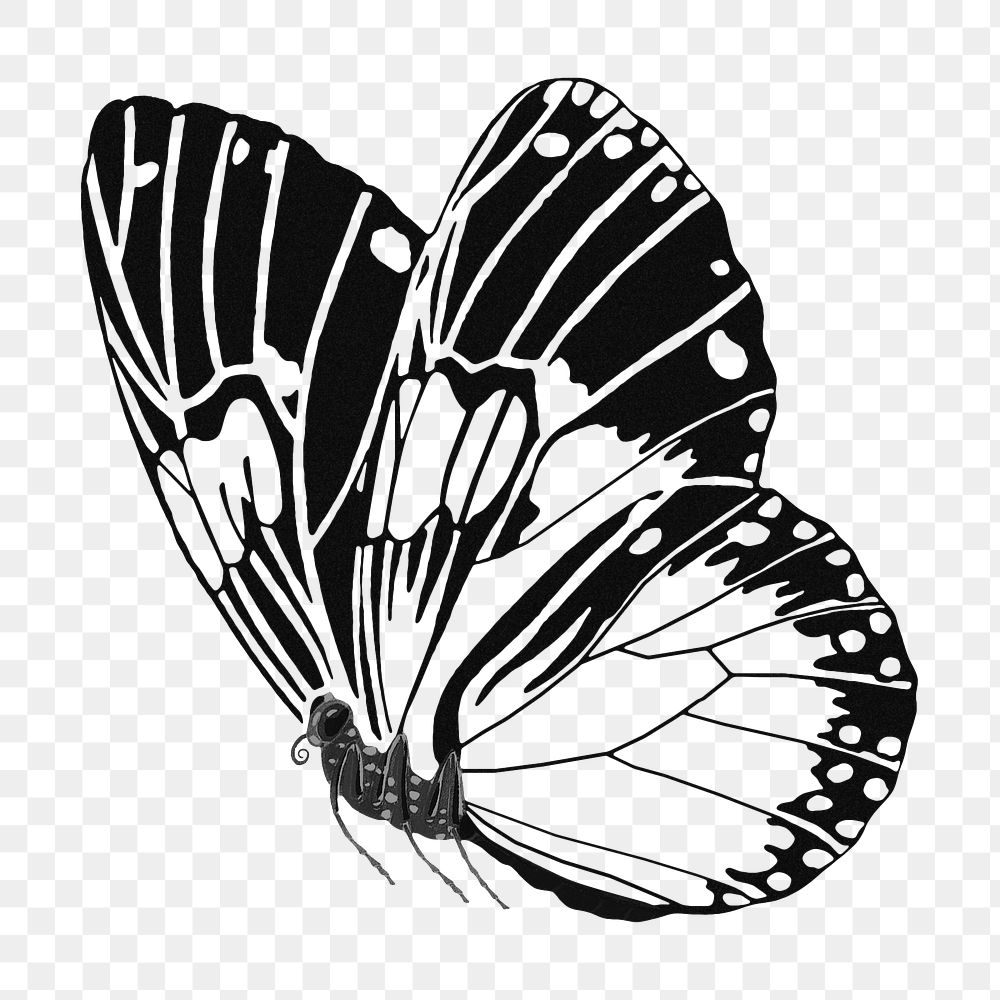 Black butterfly png sticker, vintage insect on transparent background. Remixed from the artwork of E.A. Séguy.