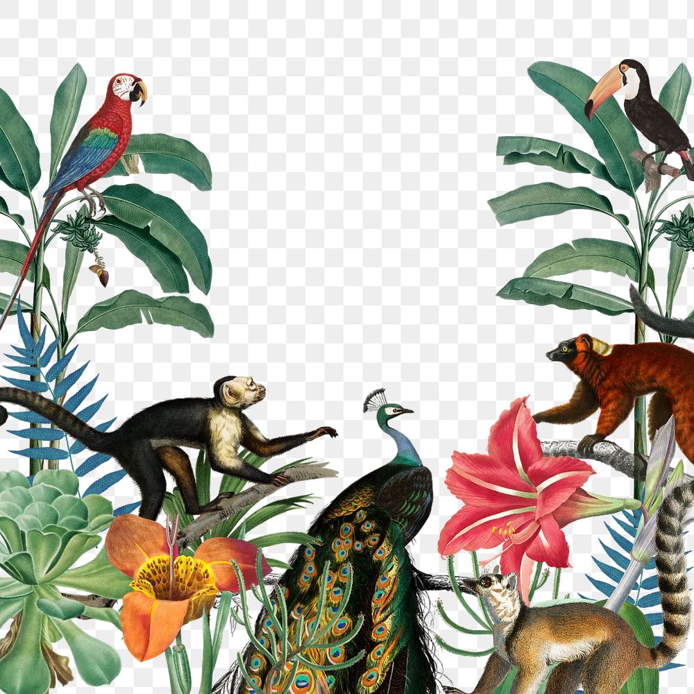 Wild jungle animals png border, transparent background