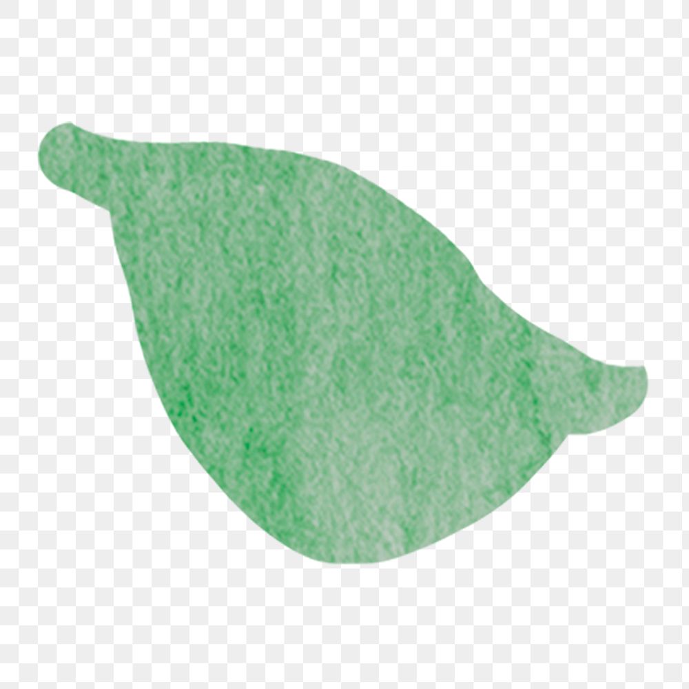 Green leaf png sticker, eco watercolor design, transparent background