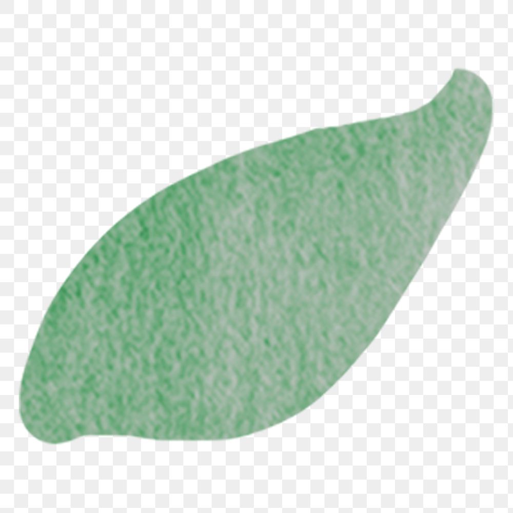 Green leaf png sticker, eco-friendly watercolor design, transparent background