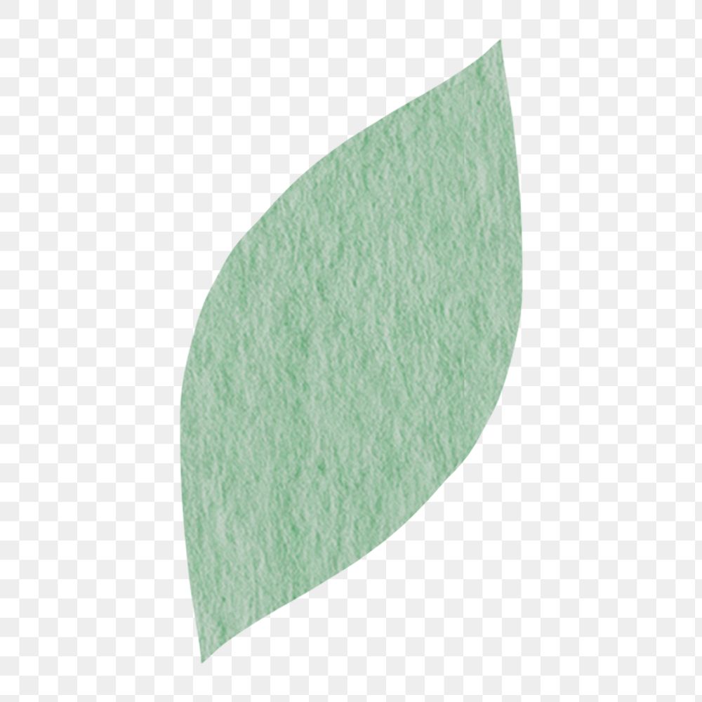 Watercolor green leaf png sticker, nature, transparent background