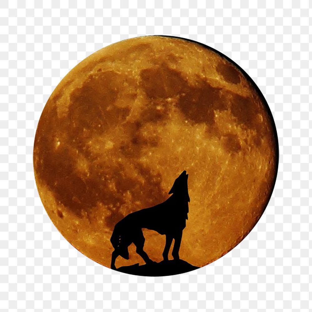 Wolf & moon png sticker, animal image, transparent background