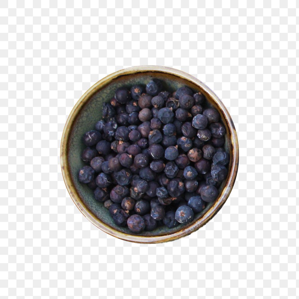 Juniper berries bowl png sticker, transparent background