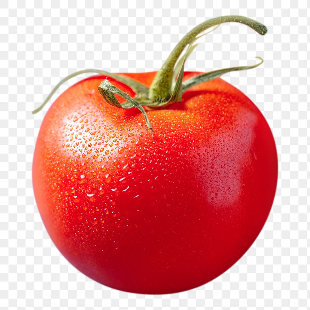 Png tomato, transparent background