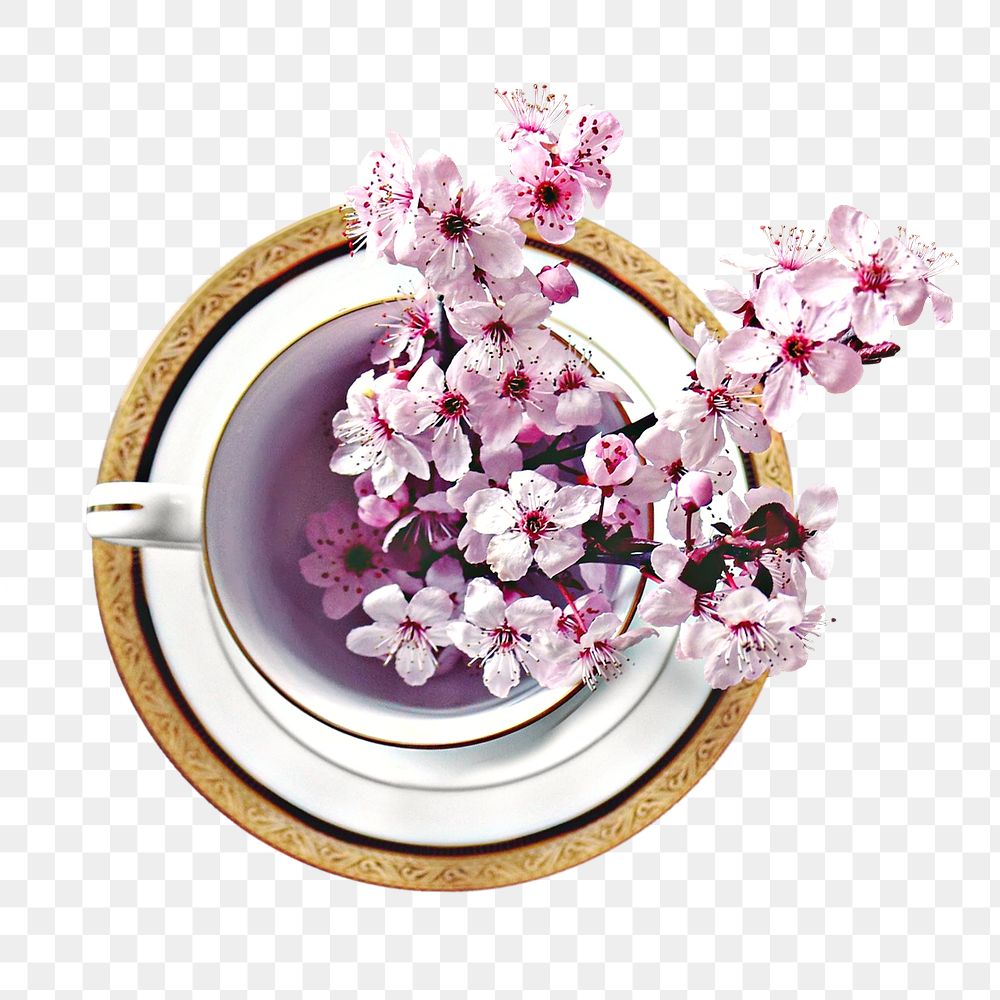 Pink sakura tea cup png, transparent background