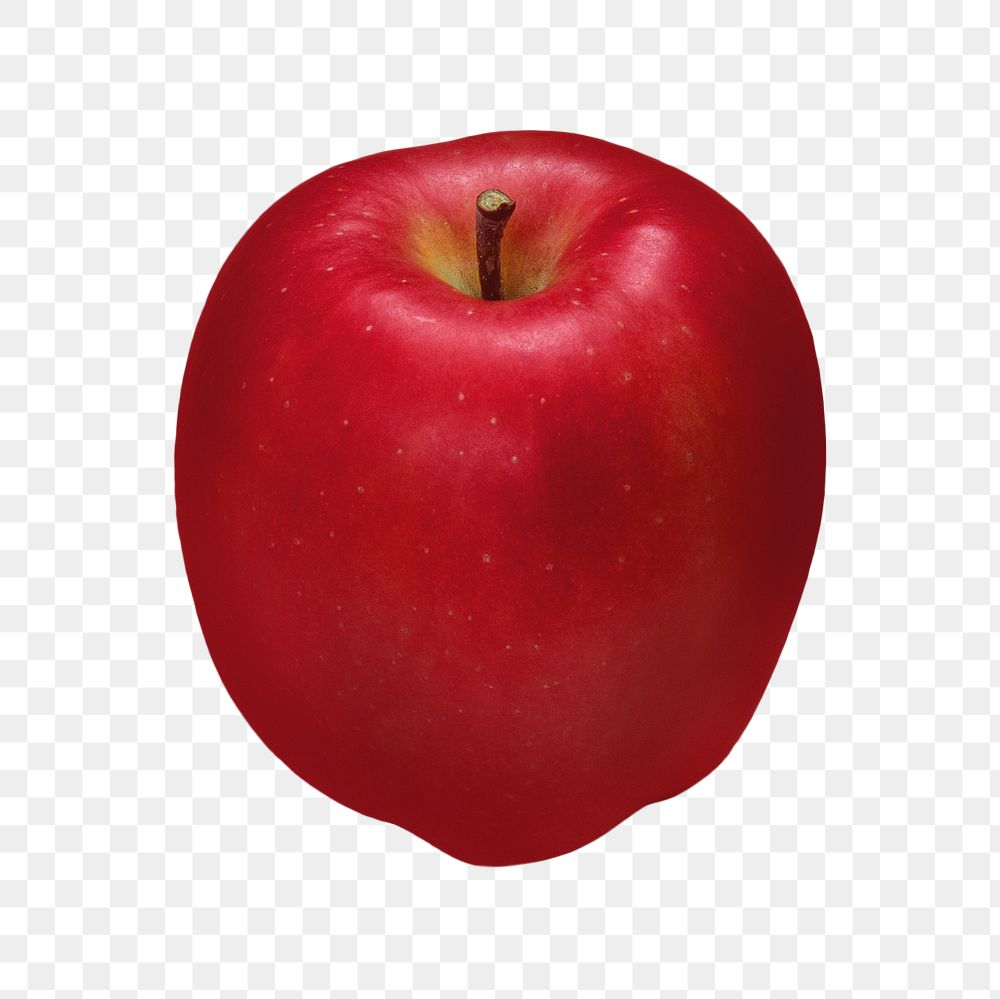 Png apple, transparent background