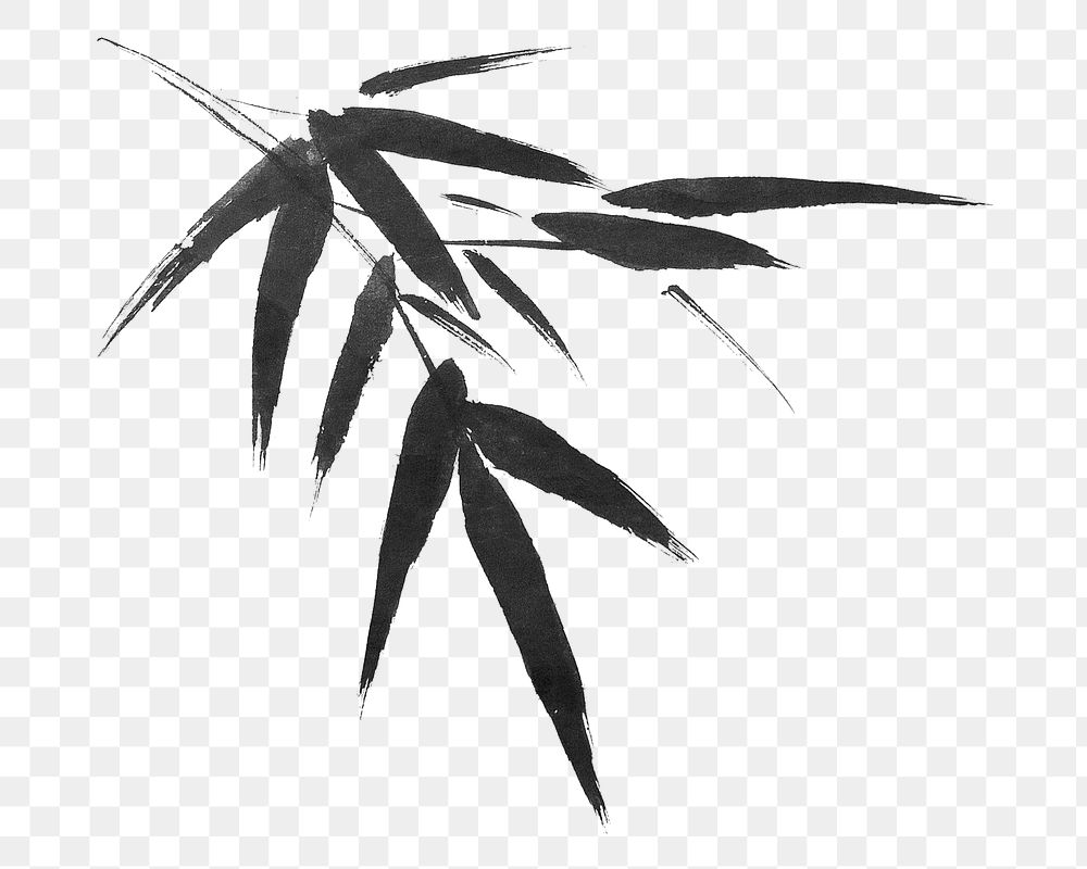 PNG Bamboo tree, vintage botanical illustration by Sesshū Tōyō, transparent background.  Remixed by rawpixel. 