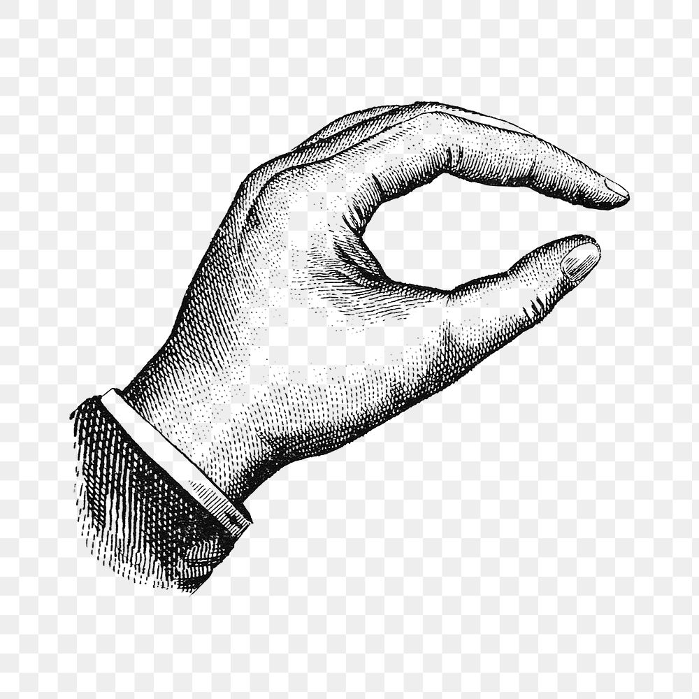 PNG Vintage hand, gesture illustration  by Eagle Pencil Co, transparent background.  Remixed by rawpixel. 