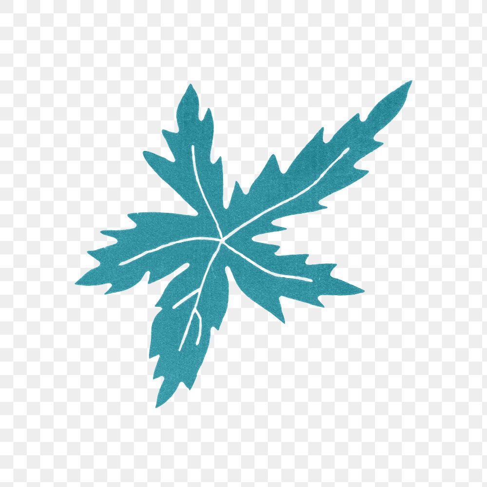 PNG Blue leaf, vintage botanical illustration, transparent background.  Remixed by rawpixel. 